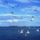 Brd33_1337593_2276_t