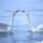 Brd39_1337600_7791_t