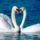 Brd40_1337601_9665_t