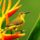 Brd48-001_1337622_2520_t
