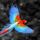 Brd58_1337632_2150_t