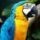 Brd70_1337645_5508_t