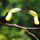 Brd84_1337667_8186_t