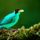 Brd89_1337674_5103_t