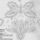 Lepkes_1_1337899_2809_t