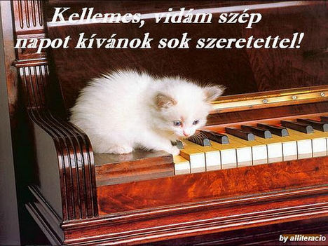 Szeretettel...