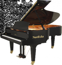 Zongora
