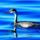 Brd115_1338254_2128_t
