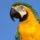 Brd116_1338255_9708_t