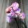 Dsc06039_1338707_9671_t