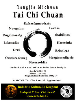 Yangjia Michuan Taiji Quan az Imladrisban