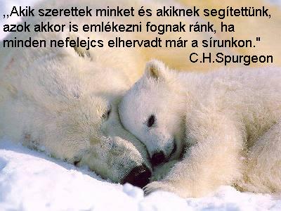 Akik  szerettek..