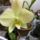 Dsc02122_1339656_6809_t
