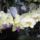 Dsc04307_1339638_5425_t