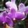 Dsc04309_1339651_2863_t
