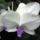 Dsc04679_1339665_7302_t