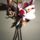 Dsc05211_1339703_1457_t