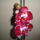 Dsc05219_1339619_2817_t