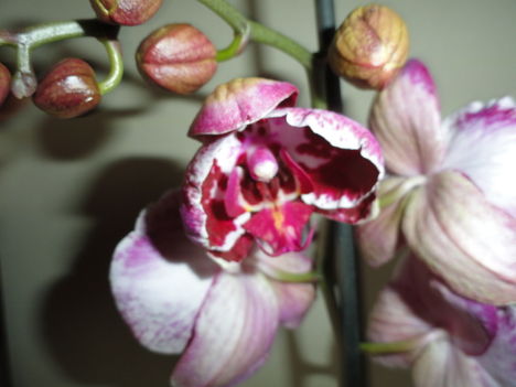 DSC05220