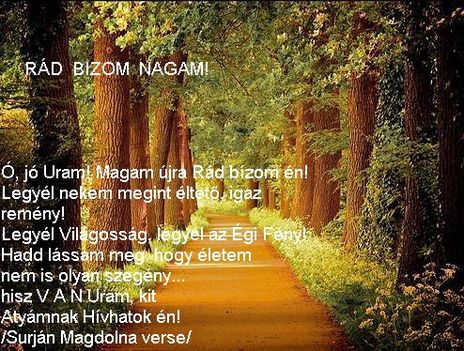 Rád  bizom  magam!