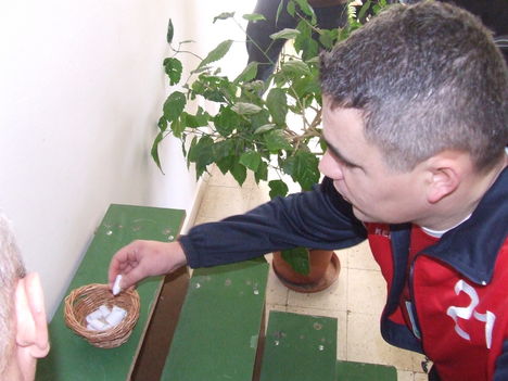 DSCF3833