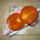 Erett_khaki_gyumolcs_1303858_1790_t