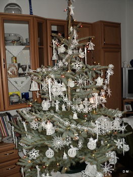 Karácsonyfám 2011.