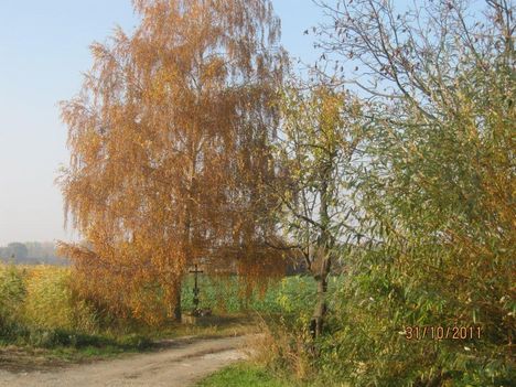Kisbodak, faluvég - a Vajas-lapos felől, 2011. ősz