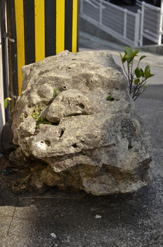 Okinavai kőoroszlán Kiyuna shiisa  Mento-me 