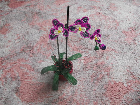 Orchidea anyámnak