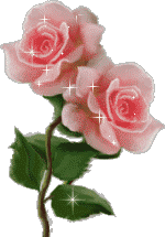 Rosa brill ros