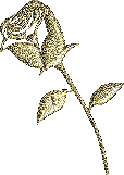 ROSE arany