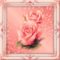 rózsás kép 1