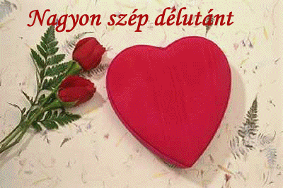 www.tvn Ismerőseimnek