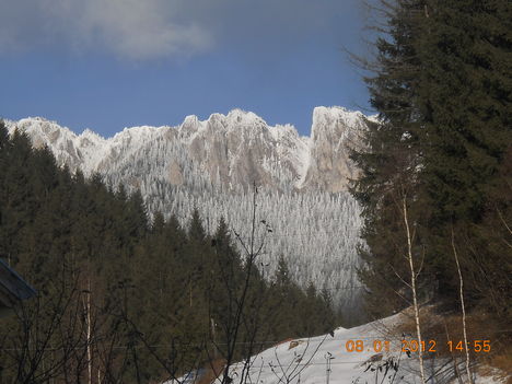 DSCN3962