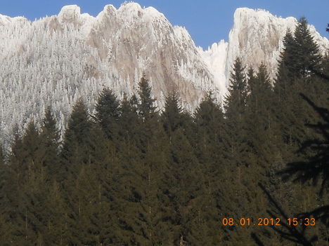 DSCN3979