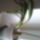 Kep0199_1341245_9160_t