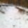 Kep0824_1341582_3340_t