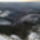 Kep0832_1341572_4935_t