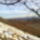 Kep0838_1341566_3874_t