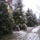 Tel_1_1343022_6136_t
