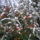 Tel_3_1343024_8385_t