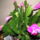 Tel_6_1343027_1899_t