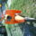 Alberte_6_1344576_6795_t