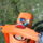 Alberte_9_1344580_3952_t