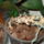 Dsc00186_1344764_8721_t