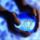 Images_1344364_8826_t