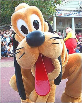 Pluto kutya