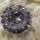 Swarovski_bross_1344923_4326_t