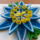 Quilling_virag-001_1345665_9102_t